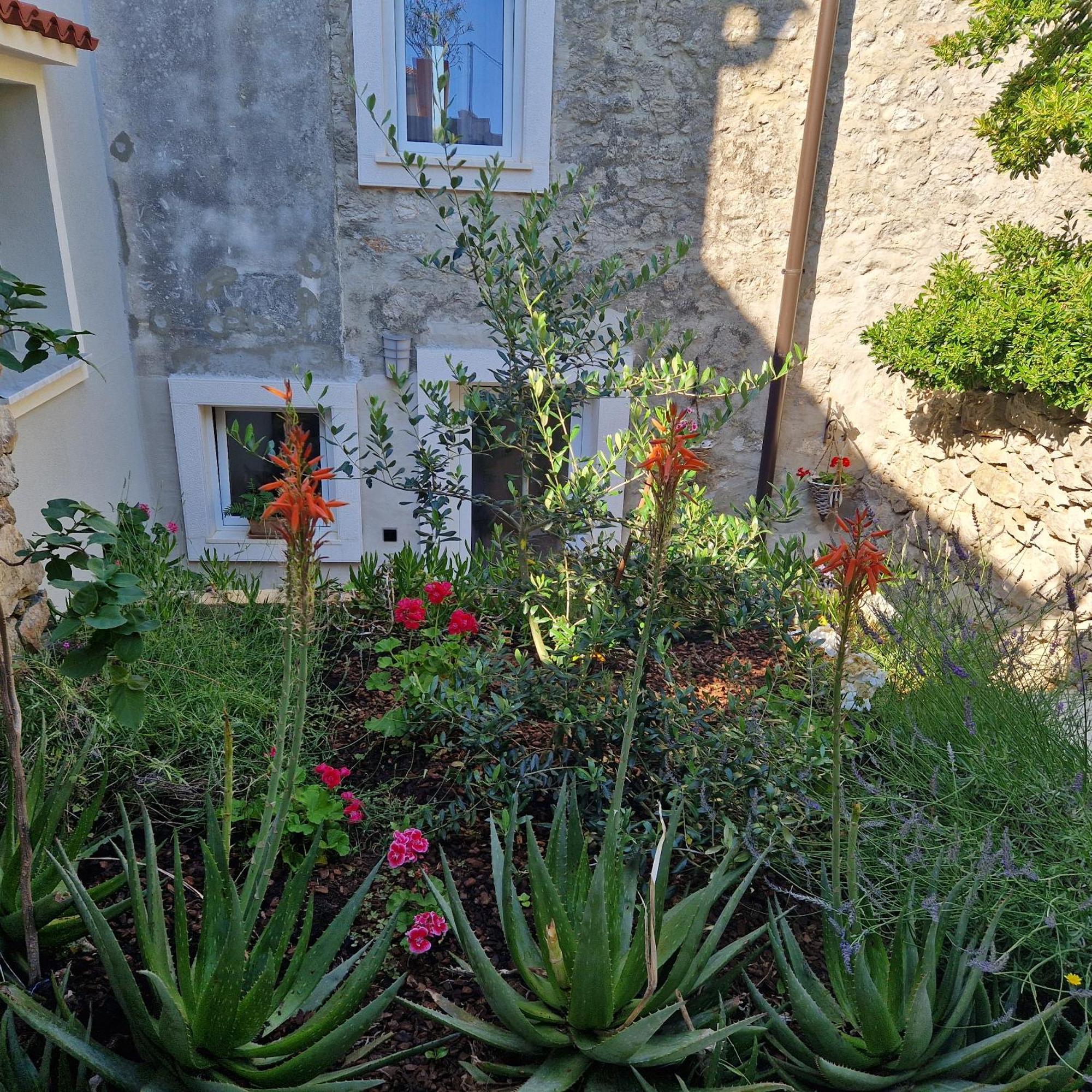 Castel Apartment Mali Losinj Exterior photo